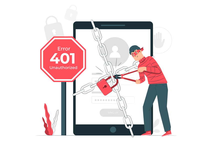 401 WordPress Error